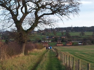 Towards Clive church